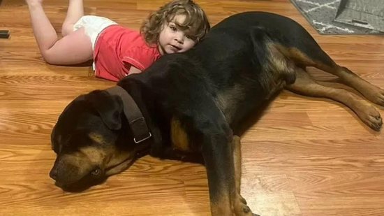 Menina é encontrada dormindo em cima de cachorro - Reprodução/ Redes Sociais