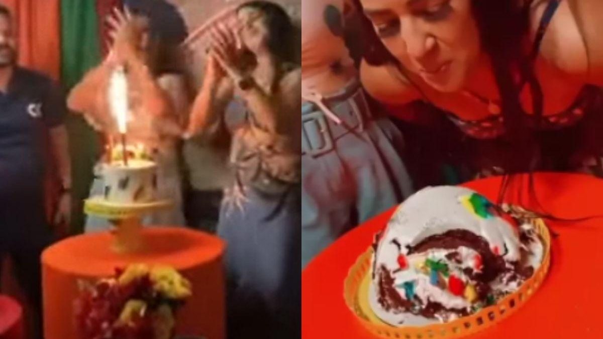 Cachorro derruba bolo em festa de aniversário - Reprodução / g1