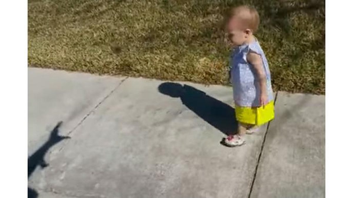 menina-se-assusta-com-sombras - As sombras que o pai fez com as mãos acabaram assustando a garotinha (Imagem: Reprodução YouTube)