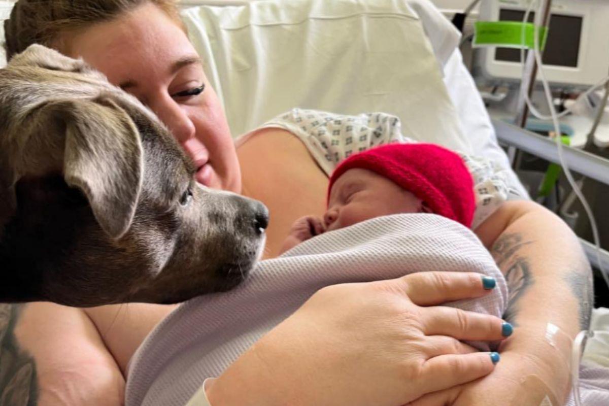 Amee após o parto com o filho e a cachorra, Belle