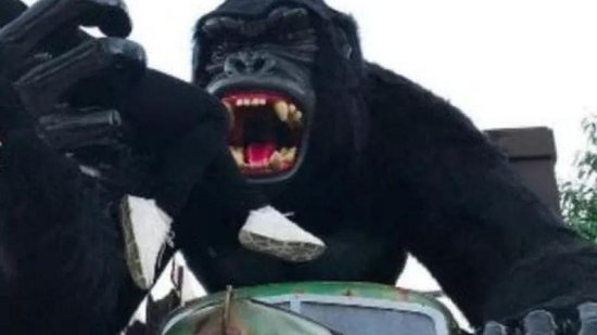 Menino que caiu de atração no Beto Carreiro se assustou com rugido do gorila - Reprodução/ G1