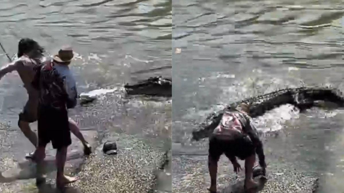O crocodilo tentou pegar o peixe - Reprodução/ Instagram @nuffblokescotty