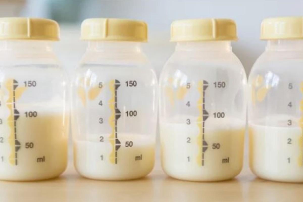 Como doar leite materno: passo a passo, armazenamento correto e onde fazer a doação